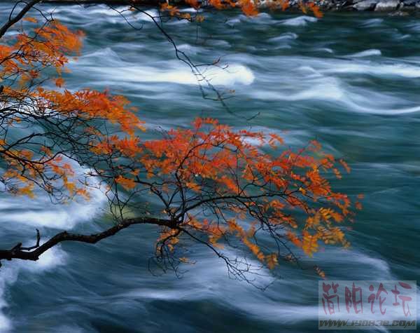 065[1].jpg